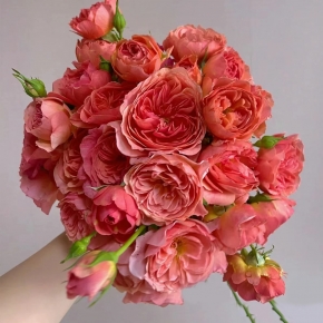 Каори Казари